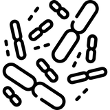 Probiotice