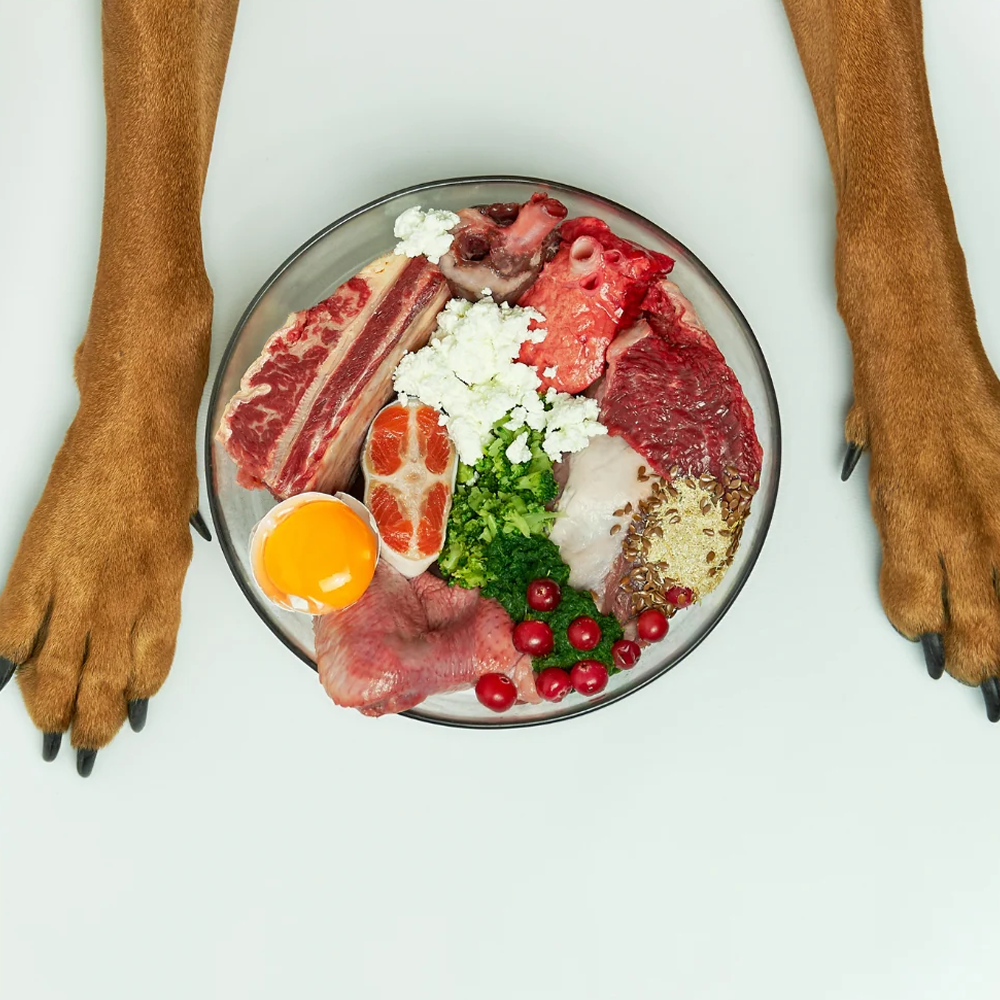 Intelegerea nutritiei canine: Oferirea unei diete mai sanatoase cainelui tau