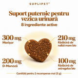 Suport vezica urinară la Caini