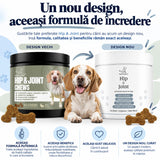 Articulatii la Caini
