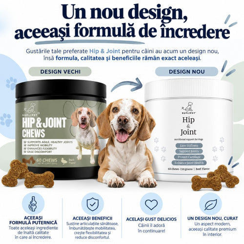 Hip & Joint Support