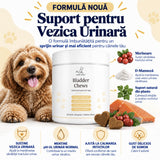 Suport vezica urinară la Caini